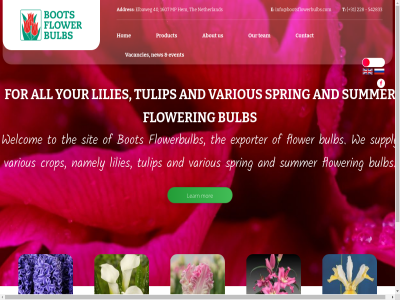 +31 1607 228 40 542833 about addres all and b.v bot bulb by calla contact crop e elbaweg event exporter flower flowerbulb for goforit hom hyacinth info@bootsflowerbulbs.com iris learn lilies mor mp namely netherland new other our product reserved right sit spring summer supply t team the to tulip us vacancies various we welcom your zanthedesia