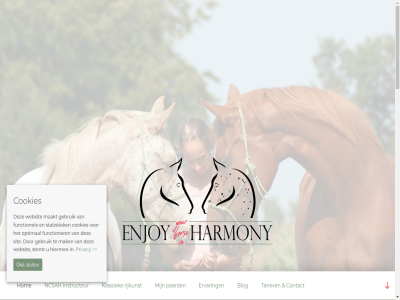 -2018 06 2017 2019 2026 222 2384 7558 9801 adres afdwing appaloosa basic basis basisbeginsel behaald belangrijk bevoegd blog bod bullen classical contact content cookies cultur daarmee diploma dressag dressur e eeuwenoud enjoy ervar europes facebok functionel functioner gat gebruik gericht gev gevolgd geweld harmony hengelo hiermee hl hom hor hulp hulpmiddel inhoud instagram instructeur instructor instructric klassiek kwaliteit langdur licham licht linkedin maakt mak manier marloes marloes.bullens@gmail.com mogelijk natur ncsah oke ontwikkel optimal orun2 paard paardvriend paul pellastrat privacy respectvoll rijkunst rijpaard scroll sit sluit springless statistiek stemt t tariev train training traint traject uitgangspunt verder verfraaid vervolmaakt volgen voortkom websit weinig your zadel zodat zowel