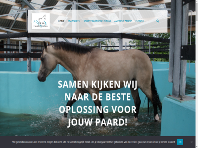 +31 -53657087 0 2 2008 2026 48 6 afsprak afzegg algemen amerigo anouk basis bedrag bedrijf begeleid behandeld best beteken blijd bodyscan bok contact cookies copyright daarna dankbar dianadesignstudio dient ding diver doorgat download draait e e-bok effect energetic equinebodywork ermee ervan ervar ervor expertis ga gan gebruik gegev gestart gev gister grag gratis grot h4h hal health health4horses heath4horses hel help hom huidig huisregel info info@health4horses.nl informatie inhoud instemt janny jar jou jouw kennis kijk klant klein koster kruid land lang laser les littl losser mak maximal media mogelijk monique nes nieuwsgier nodig noordman ok ontspann ontwerp onz opleid oploss opnem paard pijnmedicatie pony postma prachtig privacyverklar problem rend resultat revalidatie rout ruiss sam seawalk seawalker sit social soepel soepeler som sportpaardbegeleid stur super sylvie t tevor tevred therapieen tijd trainingsmethodes uitdruk uitgebreid uitzonder uur vanocht verder verhelp verlicht verschil verschuldigd vertel voldan volg volger voorwaard vrag war we welkom wer wereld whisky whit wiek wij woord wytsk zadel zeker zelf zeronica zoek zorg