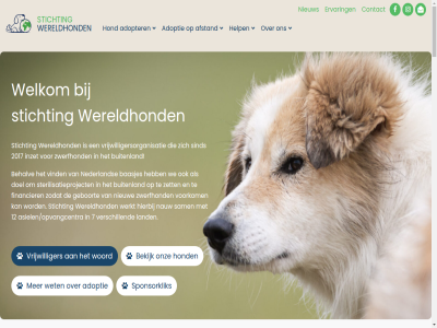+31 0 0338 1 11 12 2 2017 2026 23 45 50 5379 6 61 65 67911854 7 71 82 857222685 96 adopter adoptie adoptieprocedur afstand akila algemen all allen animal apelkanal asielen/opvangcentra baasjes behalv bekijk beleid beschik bestan bestur beter bezoek bied bijzonder brabant broertj buitenland cm contact daarom dankzij dierenasiels.com dierwaard doel donaties dubbel duk echt eduvet een elk enkel ervar even financier fotografie gat geboort gef geluk gezelschapsdier gezin ging goud grag griekenland help herkomst hierbij hom hond hondjes info@wereldhonden.nl inzet jar kan karakter kat komt kunt kvk kvk-nummer land leeftijd lefteris les letter lev lez lizzie maand mandj media meest meten miran moeilijk nauw nederland nicko nico nieuw nl86 noord noord-brabant nummer onz partner partnerasiel paw person potentiel privacy project recht red rescue rescuer reu reunie rsin ruim sajet sam sind social som sponsorklik stell sterilisatieproject steunt stichting strand succes supergoed swh tariev ter thuis thuishoord tobie transport trio trouw verder verhal verhuisdier verschill via vind volg volwass voorbehoud voorkom voorstell vriendelijk vrijwilliger vrijwilligersorganisatie waarom warm way we welkom wereld wereldbaasjes wereldhond werk werkt wet wikkies winsum woord word zakynthos zet zgn zodat zoek zwerfhond