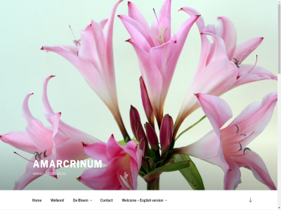 +31 0 15 2020 31a 3602 628508688 adres amarcrinum at bericht bloem contact content english gegeven geplaatst harry@kosterman.nu hom inhoud januari maarss netherland omlag ondersteund scroll spring the tuinbouwweg version websit welcom welkom wordpres www.kosterman.nu zoek