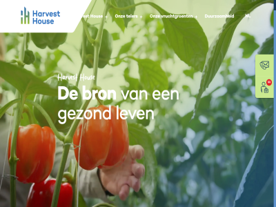 +31 1 11 174 2 200 2026 2676 3 4 415 5 519 6 adres bel bron browser concept contact duurzam e e-mail gezond harvest honderdland hous kom komkommer lev lv maasdijk mail media netherland nieuw nl ondersteunt onz paprika privacyverklar s sluit stur tag teler the tomat vacatures video vruchtgroent werk
