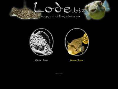 2008 aquarium fish forum kogelviss lod lode.biz puffer rogg stingray websit