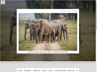actuel buffel contact goud india indisch jong kaziranga klik langoer moment national neushoorn olifant onverget park reisaanbod safari start tijden wild