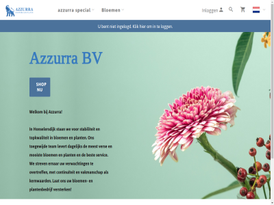 azzurra bent best bloem bv continuiteit dagelijk ernar hom honselersdijk ingelogd inlogg kernwaard klik lat levert logg meest mooist overtreff plant plantenbedrijf servic shop special stabiliteit stan strev team toegewijd topkwaliteit vakmanschap ver versterk verwacht we welkom