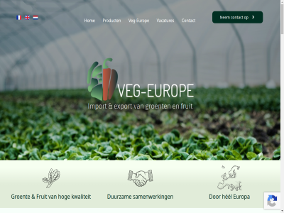 0 0031 1742ld 2026 226 304c 540 782 aanbod aardappel algemen all bedrijf beheers behoeft bereik best bestond betrouw bord communicatie communicer contact contactgegeven dankzij direct distribuer diver doel drom duurzam eerlijk eig engel enorm europ europa export exporteert fran fruit garander geeft gegarandeerd geniet goed grag groei groent grot handel hel hog hom hoogst hoogwaard huidig im import importeert info@veg-europe.com jari kasgroent kijk klant kwaliteit lang lat lever liefd locatie markt mogelijk nauw nem netherland netwerk nodig norm ondernem ontdek ontstan onz oogst opgericht oplossingsgericht pal partner passie person prachtig prijz privacy product recht rechtstrek sam samenwerk schag smak soepel stat statement strev tal tel teler the toegewijd topkwaliteit uitdag uitgebreid uitstek vacatures veg veg-europ veg-europe.com veld ver verder verkenn verpak verrijk versheid vervull visual volgen vollegrondsgroent voorbehoud voorwaard voorzien vrag waardor we webdesign welkom wereldwijd werk wij wit zorg