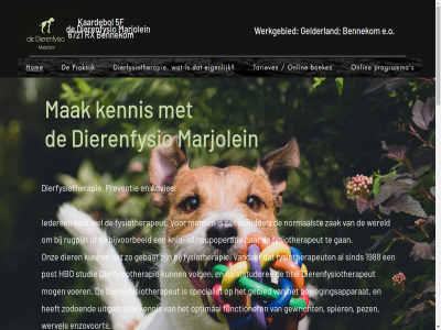 +31 0 13 14.00 17.00 1988 2026 44 46 5f 6 6721 9.30 aandacht aandoen aangeslot advies afsprak afstuder algehel behandeld behandelmog bekkum belemmer bennekom beschik beweg bewegingsapparat bijvoorbeeld blessures boek comfortabel contact curatief dier dierenfysio dierenfysiotherapeut dierfysiotherapie direct diversiteit donderdag e.o eigen enzovoort ervar functie functioner fysiek fysiotherapeut fysiotherapie gan gebat gebied gelderland gericht gewricht gezond goed grot handicap hbo herstel heupoperatie hom houd huisgenot ieder iederen info@dedierenfysio.nl inmiddel kaardebol kennis kent knie maandag mak marjolein mens mental mog mogelijk nem net normaalst ondersteun onlin onz optimal ouder palliatief pez pijnvrij post praktijk preventie preventief problem programma renn rijn rugpijn rx s sind specialist spel spier sport studie t/m tariev tel titel uitgebreid uur vandar verdient veroorzak voer volg voorkom vrijdag wel wereld werkgebied werktijd wervel wordend zak zodoend