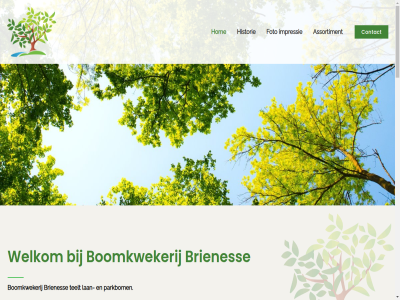 +31 032 1 11029504 1995 2025 25a 38039782 4043 442 488 6 assortiment bestaand bom boomkwekerij brienes cocoskluit contact copyright daarop diver draadkluit e foto ga gehel geleverd gerooid gev geveerd grond hel historie ho hom hoogstam impressie info@brienesse.com informatie inhoud jar kg kroonhoogtes kvk lan lever m mdrkl meerder meerstamm menu mooi opheusd parallelweg parkbom partner pot/zak pottenveld realisatie sector sind solitair stamdiktemat stamm struik t teelt vertak vertakt voetj voll w webdesign welkom woerdekom wortelgoed