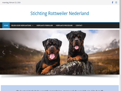 2026 23 aansprak all arnt bereik beslag bevat bied club contact content cookiebeleid copyright daarvan derd dierenmishandel disclaimer distantier dog donatie een eu extern februari formulier gebruik gedragsproblem gedragstherapeut gegeven gelinkt genom gerelateerd haanappel hel herplaats herplat hiervor hom hond hondenbet hulp info informatie inhoud instructeur international internetpagina intervention klik kunt kynologisch link maandag minder nederland nieuw ondersteun onz opgenom over person privacyverklar problem procedur reserved reuen right rottweiler s schenk serious signal skip start.nl stichting team telefonisch terecht to toepass trainer uitdruk urie verander verantwoord verklar vind vindt vrag waarnar waarop websit wel welkom wereld wij zie