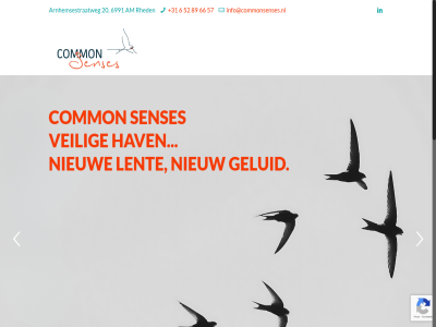 +31 20 2024 52 57 6 66 6991 89 am arnhemsestraatweg common geluid hav hom info@commonsenses.nl lent nieuw rheden senses veilig