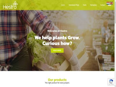 +31 060 13d 5121 80 85 86 a also and are at back basis best but call can composition contact curious customer density developed distribution dongenseweg each enduser entir europ every evident experienc feedback fiber for from fully germination gives grip grow guarantee has help hestro high hom hous how ideal in-hous info@hestro.nl mor netherland not nutrition on one only optimal our own packag paperbus pb percentag ph plant plug proces produced product productie project provides quality quit read request right rij sam so statement stonewol stonewoolplug strength structur suit support test that the therefor this tol transplantabl uniform unique us value water we welcom which your