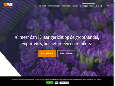 00 11 15 2020 2231 30 4 75 aantal afgeleverd aflever afrika akkoord all amerika assortiment b.v bedrijf bekijk best bestell bied binnenkom blijv bloem boeketterieen bred brows contact continu cookies copyright daarnaast dag detaillist dezelfd direct dz eis ervar exporteur facebok flexibel florimark flowerfactory gat gebruik gecertificeerd geplaatst gericht groep groothandel growing handelsmaatschappij hom import info@zami.biz inlogg instagram israel italie jar klant klar kwaliteit kweker l lan les lever lilies m maatwerk mak markt menu morgen nederland nee ochtend ok onafhank onz partner per perfect policy privacy retailer richt rijnsburg roses s samenwerk sensation snel spanj spel stan stelt streeft supermarkt tijd together turkij uitpak uur vanaf ve ver verander verhof verkop vertegenwoordigt vijf voldoen volg vroeg waxed we webshop websit wek wereldwijd wij zami zomerbloem zorg zuid zuid-amerika