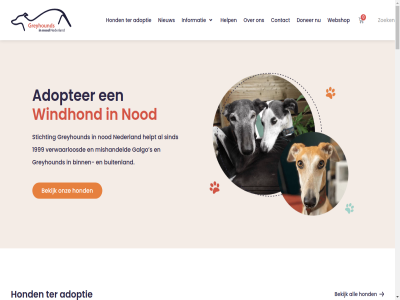 -04 -12 -2020 -2026 -4 -6 0 12 15.00 16 16.00 17 1999 2026 24 25 26 2960 3 30 5 aanbod aanhank actief adopter adoptie adoptieprocedur afgedankt algemen ali all alsjeblieft april asiel babesios bekijk bemiddel binn buitenland categorie categorieen chipregistratie complet contact contactpagina dam dierenwelzijn doner download een ehrlichia español facebok fbm filaria financieel ga galgo geadopteerd gebor gebruik gedrag geplat gered gereserveerd gev gezond ginn grag greyhound greyhound/lurcher greyhoundsinnoodnederland handig handwerk hard hel helas help helpt hom hond huis huisj hulp ierland infofolder informatie instagram jar jou jouw kennis klein klik knuffel kom komt kruising kunt kwam laatst leishmanios les let lev liev lurcher mak match medisch mee mei meid menubalk mishandeld moe moet mooi n narcos ned nederland nem nieuw nieuwsitem nod ondersteun onderwerp onlang ontmoet onz opzoek overweg pagina par past paw peppi per podenco prachtig procedur pup quesera rasinformatie rechterkant reisdocument renn reu rij s samenwerk schol scooby shelter sind solidad spanj spannend spel sponsorpartner spreekbeurt stabiel start steun stichting strat t/m tef tegelijk ter terecht thuis ticket traces transport tuss updat uur vandag veilig ver veren verget vermiss verwaarloosd verwacht vier vind vragenformulier vrijwilliger vroeg vs waarmee we webshop websites werkbezoek whippet wij windhond z zachtaard zoek