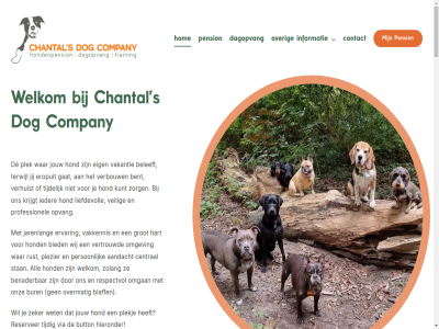 +31 00 12 15237406 18 2015 2017 2025 30 51 5443 6 68620640 7 9 aanbevel aandacht algemen all allemal ander asiel avontur baasjes basisopleid bedankt beleeft beleid benader benieuwd benn bent bezorg bied bijzonder binnenverblijf blaff blij breng buit bur button central chantal chet coach combiner comfort company contact content cookie daarna daarnaast dag dagelijk daggast dagopvang dank de denkt dier diver dog echt eig elk enthousiast erg eropuit ervar even faciliteit fiet fijn ga gan gat gecombineerd gegev gehad geholp geniet geopend geopereerd geschoold gewon gezell gezond ging goed goedkop grag grot hal hand hap hart hel hieronder hom hond hondenprofessional hondenschol hondj ieder info@chantalsdogcompany.nl informatie jarenlang jeugdzorg jij jouw jullie justitie kalkhofseweg kom krijgt kunt kvk kvk-nummer lat lekker leuk liefd liefdevoll liever linn m maakt maandag mee meegenom meewerk menu mini moeit n naast nb nieuw nummer omgan omgev omschol ontdek ontstan onz opgehaald opgericht oppasadres oppass opvang over overmat pedagogisch pension pensiongast per person plek plekj plezier presentatie professionel reactie regelmat reis renveld reserved reserver respectvol right roer ruim ruimt rust rustig s servic sinda skip slag snell speelt spull spulletjes stan stat stell super supergoed tariev terrein terwijl tevred tijdelijk tijden tijdig tip to trainer uitgelat uitleg uur uurtj vakantie vakkennis vandag vast veilig verantwoord verblijf verbouw verdient verhuist verslav vertrouwd via voldoend volled voorop voorwaard vrij vrijdag vrijwilligerswerk waard war warm we wek wekelijk wel welkom werk werkervar wet wij wilt workshop zegg zeker zer zien zolang zorg zowel