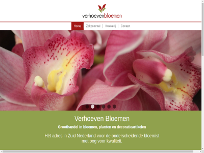 06 09 1 12 2 22 24 2b 3 4 47 5 5301 6 61 69 aanbied aanbod aantrek accessoires adres assortiment bedrijf betal betrouw bied bloem bloemist bloemistbenodigd bred bv combinatie complet contact daarmee daarnaast dag dagelijk dagver decoratieartikel decoraties dezelfd di duurzam eig eindhov elk flexibel fruitsoort garandeert garander geprijsd gevarieerd groothandel hog hom hèt info@verhoevenbloemen.nl innovatiev kd kennis klant kunt kwalitatiev kwaliteit kwekerij maakt mak manier marktconform meld mobiel naast nederland nieuw onderscheid onz oog oogst overtu partner person plant prijs product rechtstrek routebeschrijv rozenbogerd ruim snij teven transparant uniek uzelf veiling ver verhoev verpakkingsmaterial verschil vestig voortdur waarmee we wer werk wij winkel zaai zaltbommel zuid