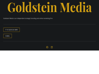 +31 0 10 321 6099 an and branding e e-mail firm goldstein hom independent mail market media mobil onlin p strategic