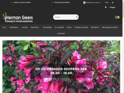 0 00 06 09 09.00 104 16 16.00 2010 2026 26 2771 28 45 50 58 7 aanbevol account alexandra all assortiment beekjes bekijk bell bent bericht bestell beu bezoek bezoekt bijzonder biloba blijf blog bloomin bonsai border boskop by cactus canada canades collectie conifer connectie contact copyright cryptomeria deelnam devonn doordewek duitsland dwerg e e-mail easy edition eenvoud eetbar elk eur even exclusiev fam familie familiebedrijfskwekerij florida fries genoeg geopend ger ginkgo groeid grot gz had handelskwekerij hart heester herman holland hom hoogt hoogteverschill info@hgeers.nl informatie inlogg inspiratie international japonica joe kijkj klantenservic kom koppenhag kunt lag lang les limited littl locatie mail miniatuurplant nem nieuw nieuwsbrief onlang onlin onlinevanstart.nl ontdek ontvang onz open openingstijd overzicht particulier pinn plant plantenkas populair powered prachtig pre pre-bonsai president product rots sciadopitys selecter siertuin sind specialist sternschnupp tal ticket tomahawk tour tuin tuss uniek uur vel vergelijk verlanglijst verticillata vijver visuel vooraf waard we webshop weigela welkom wilt xl yucca zaterdag zuid