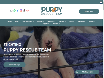 +31 020 0822 088 10 168 188 2 20 2023 2025 22498 23 3269 49 6 71130438 858591121 abna actie adoptie afschuw all baasj begrip behoeft bekijk bel belgie beloft bereik beter bewustword bovenal breng broodfokker buitenland cacau communicatievaard contact creatief crer dekentjes denk diep dier doel doggy don donatie donaties doorzettingsvermog effectief effectiev eig eindelijk elk emma empathisch enkel ervar etc even familie fund gan gat gebor gedrev gef gelov gemaakt geurtjes gev gewond gezamen gezinn giv go goed grag groei hal hard hart helas help herkomst hom hond hop huis ieder info@puppy-rescue-team.nl informer instanties interventies jij jullie kan karakter keihard kent kerstbox klar kom krijg kunt kvk land lang led leidt les lev lez lief liefd liefdevol liefdevoll liev lijd lobbyen lot maakt maatj mag mak mandjes maxom.nl medelev medisch mee meedogenlos mik milo mishandeld misschien moeilijk moet motivatie n navigatie nederland never new nieuw nl nl72 nodig non non-profitorganisatie noodsituaties nou nummer obstakel officieel omstand ondank ontmoet onvoorwaard onz open opnem overgelat pak passie past perfect plek portugal privacy probleemoploss profitorganisatie publiek pup puppy pur quotes2artboard rashond realiteit recht red reddingsoperaties regelmat registratiecod rescue review rijd rond rsin s sam samenwerk shelter snel spanj speelgoed spel sponsor sprankj sted stell sterk stichting stoer strijd super talloz team teamgeest tegenslag ter thuis toewijd toppertj transport transportbus trouw twed uitdag uitgehongerd up vaardig vak vastberad veilig ventj verder verdien verdient verget verklar vermog verschil vervoer verwaarloosd vind voer vol volhard voorbehoud voorstell vriendenloterij vrijwilliger waarom wacht wanhop war warm warmt we websit welzijn wereld werk werkt whatsapp wij zacht zeker zien zoal zoek zorg zorgzam zovel zus zwerfhond zwerv