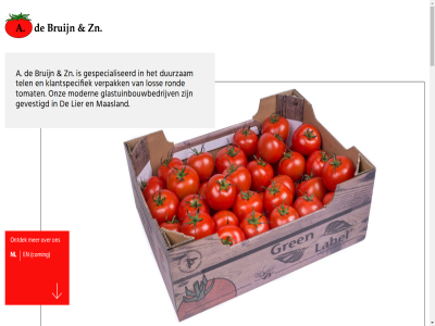 015 029 07.00 08.00 1 12.00 14 16 17 1936 1938 1953 1995 2 2003 2678 380 3801 4 6 8532 9002 a aad aardwarmt adres afnemer algemen arnoud axia axxy bedrijf bedrijfsprocess beginn begonn bekijk beleg bent beslat bestan bestrijd betrok bied bijbaantj bijvoorbeeld biologisch bloembestuiv brandstofgebruik broodjes bruijn bruyn bv collegial colli coming contact daadwerk dan del denk dorppolderweg drag duurzam e e-mail eig eventuel fa familiebedrijf fax flexibel fossiel functie functioneert geblev gebruik gecertificeerd geinvesteerd gekocht geleverd gemak gerrit gerust gespecialiseerd gestart gevestigd gezell gezond glastuinbouw glastuinbouwbedrijv globalgap goed googl grag grasp greenlabel ha hebt hierdor hommel houdt huismerk info@debruijntomaten.nl inmiddel iso jar jou kartonn kas kennis kg klantspecifiek knop kron kwaliteit land leeftijdsgebond lever leveringperiod lier locatie los maart maasland mail mak makkelijk map maximal medewerker merk milieu milieuvriend modern mogelijk naast nabur nam namelijk natur nem nl nm norm nurtur o.a oktober onderstaand ongevar ontdek onz oogst opnem oppervlak overgenom overstapt past person piet plag plat platglas product productkwaliteit profiel ras rond salaris sam schipluid scholier sed solliciter spoedig sr student system t/m team teelt teeltproces tel telefon terugdr teven tijden tomat tuinder uitgegroeid uniek uur vakantieperiodes vakantiewerk vanaf vegetabl verantwoordelijkheidsgevoel verder verdien verhuisd verpak vervolgen verwacht verwarmd verwerk via vijand vindt voedselveil volgen voortdur voortgezet vooruitstrev vrag vriend waarbij waarborg war we websit weegt wens werk werksfer werkt werkzam westland wij wijz will winter zaterdagocht zeker zelfstand zn zoek zomermaand zouteveenseweg zull zwar