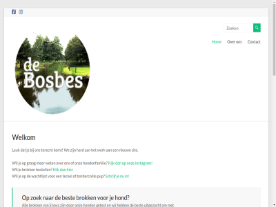 0653290457 1 2026 4 5491 aangedrev adres all allemansvri app baasjes beantwoord bell berichtj best bestell binn boefjes bordercollie bosbes brok contact copyright daarnaast dames debosbes echt eerst eig enig enkel fantastisch ga gastgezin gezell grag groepj hard hel helemal her hierbij hierdor hom hond hondenfamilie hondjes hoogt hop houd huishond info inhoud insta instagram jij jong karakter kennis kijk kinder klein kleurtj klik knapp komst komt leanne@debosbes.com les less leuk lev lief lijst mag mail mak match mini mini-teckeltjes mogelijk naast natur nestj nieuw oedenrod ondeug onz opgroei oud paard pagina passend pony post prinsess prinsjes priv prober pup recht recreatie regelmat reu reuz rusland s schrijf sint sit skif som spacious speciaal sport stur superbraf teckel teckeltjes terecht thema themegrill verschill verwacht via vind vindt volg volgend vooral voorbehoud vrag vt wachtlijst we welkom werk werkdag wet wij won wordpres zien zit zoek zorg