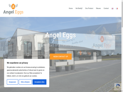 0 2014 24/7 3 31 473195 493 5712 64a a aanpass accepter adres advertentie advertenties afrika afwijz all amerika analyser angel azie b.v bedrijf bedrijfsvoer bedrijv begrijp behaalt behoeft bekend benieuwd bent beschik best bestemm betekent betrouw bied bioveil boerderij brabant broedeier brow browse-ervar certificat chick combinatie consistent contact continent continu controler cookie cookies copyright cruciaal dagelijk del dienst diepgaand document e egg eier eig eigendom eis engel ernar ervar ervor europa expertis export exporter familiebedrijf focus fokdier fokker garandeert garander gebruik gebruikt geexporteerd gekoz generatie gepersonaliseerd geproduceerd geselecteerd gespecialiseerd gev gewenst gezond grag hanter healthy hel hierdor hiervan hog hom hoogst hoogwaard indien info@angeleggs.eu informatie inhoud jarenlang jeroen juist kennis keuz klaarstan klant klanttevred klik kom kwaliteit lever leverancier logistiek maakt markt mentaliteit mid midden-oost mooi nauwlet nederland nem nieuw niveaus nodig noord norm ondersteun ongeacht ontwikkeld onz oost oost-europa opgericht oploss opricht organiser partner per ploegstrat pluimveebedrijv pluimveehouder populair privacy product productie regel reserved resultat resulteert right rl sector sind somer specialist specifiek speler stan standaard start stat stelt stemt strev succesvoll tevred the tijden tijdstip toonaangev transport twan uitbroed uitkomstpercentages uitstek uniform vaccinatieprogramma verbeter verker vermeerderingsbedrijf vermeerderingsbedrijv verpak verschill vertell vertrouwd verwacht vijf vleeskuik vleeskuiken vliegtuig voldoen voorop vrachtwag waarder waarom we wer wereld wereldwijd wij zoek zorg zorgt zorgvuld