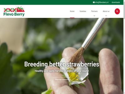 1 10 15 2 2018 2022 2023 2024 22 23 3 5 50 7 8 8307 a about add all already although and annually approved april are at availabl b.v be berry better biological brand bred breeding by can cherish commercially contact cookie created cultivat cultivation cvpo day delphy development diseases distinct don down download dutch easier enabl enjoy ens enserweg event excellent expo expo- falco farm fashion few field flavour flevo floric follow for fruit full germany goal granted grow grown h hav healthy high hiring hom horst if info@flevoberry.nl institution interested introduc introduction isfc it january jun just karlsruh latest leading les lok looking low maintenanc mak memorabl netherland new nic not november nugtr officially old only open or our ourselves partner partnership pick pk plant pleas policy privacy proces propagation protection research right round s sales scroll se search seedling select several shap shiny should sinc sites specialist still strawberries strawberry strong suitabl sustainabl tak takes tast tasty team tech that the this thousand to trial trialing try us using vacancies varieties variety vertical view visit vulnerabl way we websit wer what whether which whol will with working year you your