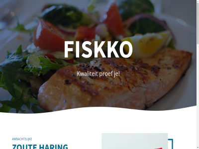 ambacht fiskko haring kwaliteit market noorderinzicht onlin proef visverwerk zout