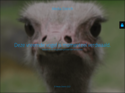 2021 foetsie gevond lat media momentel onz ostrich terug verdwaald vogel vreemd wanner we wet