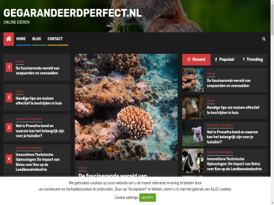 1 2 3 4 5 accept accepter accordion achter af all allen aquariumliefhebber auto autowasindustrie behor belangrijk belev bericht bescherm besliss bestrijd beweg bezoeker bied biedt bijzonder blog bolus bolustechnologie buit categorieen central comfort complex contact cookie cookies copyright crer dier dierencrematie dierenpark dierenwinkel diersoort diervriendelijker disciplin draait druk duurzamer echter een effectief efficienter eigen enkel erachter ervar fasciner fijn ga geavanceerd gebruik geert gegarandeerdperfect.nl geliefd gelukk gemist1 gezien gezond goed grondig halsband handig hebt hel hen henk herhaalbezoek hiervor hoger hom hond hoofd houdt huis huisdier idee impact inhoud innovaties innovatiev intriger inwoner jouw juist kat kattengas kiez kippenhok klik klinkt knag koe kun landbouw landbouwindustrie landbouwsector lat lez licht loss mak meest melkveehouderij mens method minsten misschien modern moeilijk muiz newspher nierproblem nieuw niveau nooit ocean onlin onthoud ontwikkel onz oploss opvall paard partner past policy populair praktisch problem product professional pronefra recent recht reinig relevant rol s setting sierlijk sluit som spel spor spull stapmol stat sted stemt stil supplement technisch technologieen technologisch tegengekom tegenwoord term themes till tip toebehor toepass toevoeg transformeert trending trioliet trouw tuin uitgelicht uitvaart vak veehouder veilig verbeter verblijv verder verhal veroorzak verschijn vervoer verzeker verzorg viervoeter viez vind viss voeding voermengwag voerrevolutie voertechniek voertuig vogel voorbehoud voorkeur voorkomt voortdur vraagt waarbij waarom we websit welk welzijn wereld werk wet wetenschapper zeenaald zeepaard zelflad zoek zorg zowel