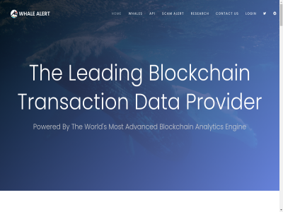 about advanced alert aman amsterdam analytic and api blockchain by chasing condition contact copyright criminal crypto data dr effect engin findt fortun hom info info@whale-alert.io information leading login most nl policy powered privacy provider recent research s saggu satoshi scam-alert.io term the to transaction us whal whale-alert.io whales world