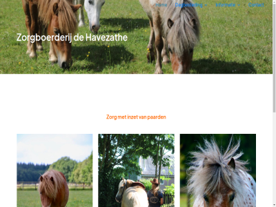 2012 2025 acht activiteit astra begonn bied bos breng buit bus by contact copyright dag dagbested deelnemer dier drie elk elkar even ga gat genoeg gewon grag groep havezath help hom inek informatie inhoud inzet kipp knutsel marathonwag mee naast ondernem onz paard paardenhouderij pad poets pony powered rijd rondj s schoonmak speelweid spell stal tegenwoord thema verzorg vrij wandel war we wei werkt wij wordpres zorg zorgboerderij zorgboerin