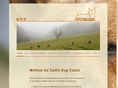 actueel advies afgestemd all ander australian begeleid bied cattl coach contact doe dog eigenar energieniveau enkel ervar gedragsproblem gev grag help her herplaatser hond hoofdmenu inhoud intelligentie jarenlang ler met opvoed primair probleemgedrag ras reserved right roedelar roedelinstucteur s samenwerk secundair sociaal spring traject tuss verbeter vergelijk volled welkom werk werkt werkwijz zet