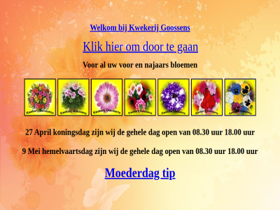bloem gan goossen klik kwekerij moederdag najaarsbloem najar tip