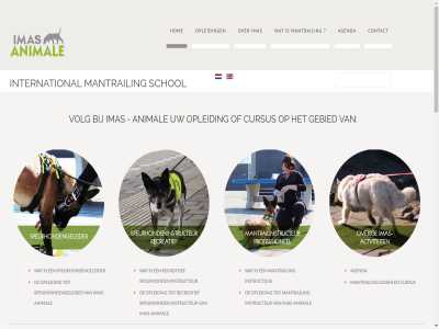 +31 -21351288 .. 0 0250 1256 2016 2026 24/7 6 aanmeld aanpass aanvrag activiteit afgesplitst agenda allen animal area behulp bekend bel bereik bericht beroep betekent betrek biedt binn brunssum buit buitenland cas contact contactformulier cookies cursist cursus dag detectie detectiehondengeleider dier diver e e-mail e.o educatiecentrum eerst europes gebied gedeelt gedragspraktijk gegev gemaakt gevestigd heerl hom hondenschol imas imas-animal info@imas-animale.com informatie institut instructeur instructieless international inzet inzetcoordinator inzicht kennis klimm kom kopj land landsgrenz less limburg locatie locaties mail mantrail mantrailinstructeur mens mogelijk nederland nem nieuw nodig nuth omtrek onderhev ontwikkel onz opgericht opleid opleidingsinstitut opspor over passie patricia per person plat privacystatement professionel real recreatief recreatiev rest sas schol search sitemap snel specialist spee speur speurhond speurhondengeleider speurhondeninstructeur speurhondenteam spoed stur tel theoriedag tripleconcept uitoefen vast verander vermiss vermist verr verschill vind vindt voerendal volg volgend vooraf voortdur vul webdesign websit wij wijnandsrad wilt www.imas-animale.com z.s.m zoek zowel zuid zuid-limburg