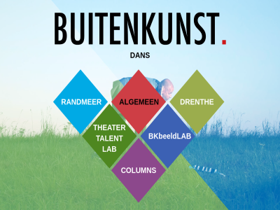 algemen bkbeeldlab buitenkunst column dan drenth lab randmer talent theater