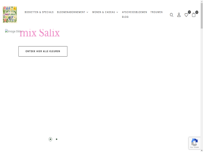 0 00 1 10 15 16.5 19 2 21 21cm 22 23 25 35 4 50 6 7 8 99 afscheidsbloem algemen all bekijk bereik best betal bezorg blijf blijmaker bloemenabonnement bloempot blog boeket bos cadeau cm contact dag dinerkar eerst faq geinspireerd geliefd help homepag hoogt inaflora item j j-lin januari kaartj katjes kleur lin lys ma ma-za maartj meest mix mollie nederland nieuw nieuwst nieuwtjes noa ontdek ontmoet onz out pastel per porselein postnl pot privacybeleid product rak recent regelt regio rest retourner rouwwerk rustik salix schal seller shop special stock storytiles support toevoeg trouw veilig verlanglijst verzend via voorwaard vrolijk weekendboeket wek wij won za zalmkleur