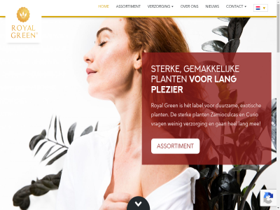 +31 -301 0 100 23 512 591 7887 a aanbod aantrek actueel all allen allures aspect assortiment bekijk bescherm beschermd bestat bestrijder bewust bezit bijna bijzonder biologisch car collectie combinatie contact content crer curio dankzij decoratiev doordat droogt duurzam easy ecas echt een eigenschapp eis erica europa everest exotisch familielid faq floriday gan gap gebied gebruik gecertificeerd gecontroleerd geldend gemak geniet gerecirculeerd gespecialiseerd gewas goed grasp gren grijsblauw groeit groen hel het hierdor hog hom interactiv interieur jar jarenlang jou juist kamerplant karakter keuzes klant komt kunt kweker kwekerij label lang leeft les levensdur lux mak mee meegan meest mens milieu minimal modern mogelijk mooist mount mps mps-a mps-ecas mps-gap nieuw nodig onderdel ondernem ontdek ontmoet ontwikkeld onz oorsprong opvall passie plant plantenliefhebber plezier privacy producer product qualified royal skip slan social socially stan stat sterk stijlvoll strom succulent tel to tp tropisch uiter vaandel vak verklar verkrijg vermog vertrouwd verzorg verzorgingstip voldoet volg voordel vrag war warmoesweg waslag water we websit weinig wij wind x x-interactiv zamioculcas
