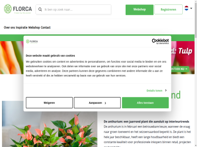 0 2 20 2025 2026 5 6 60 aanpass aansluit actuel advertenties adverter afrika all amerika analys analyser and anthurium artikel azie basis beperkt beschik betrouw bied biedt binn blad blijf bloem bloemenexportbedrijf bred caribbean cloud combinatie combiner commercieel condition constant contact content cookies dancer del detail disclaimer duurzam faq februari februari-programma florca flower functies gebruik gegeven gespecialiseerd glanzend golf groen hedendag hel hog honselersdijk hoogt hospitality houdbar hypermodern informatie inkop inkoper inspiratie interieurconcept interieurtr jaarrond jar keuz klant kleur kleurassortiment kortom kwaliteit land lang les lever levert licht lifestyletr log login luchtvracht maakt maand mag media modern naadlos noord noord-amerika ontstat onz panton parc partner past per perfect personaliser planet plant presentatie privacy professionel programma project regio registrer retail rustig s seizoensaanbod services sit sluit snijbloem social startpagina sterk term text.language text.skiptocontent text.skiptonavigation the toe toeneemt toestan ton trad vanuit veelzijd ver verfijnd verpak verstrekt verwacht verzameld verzend volled vooruitstrev vrag waarom waaronder wanner we webshop websit websiteverker weiger wereldwijd werk westland word zer