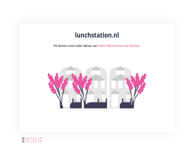 and beher domein intelic lunchstation.nl services solution stat web