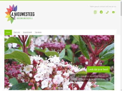 +31 2026 2771 62 650251749 75 85 90 a accelerat afzetkanal all alt anieuwesteg apricot assortiment bedrijf beeld behaalt bekijk bel benieuwd bent best binnenkort blijv bloeit boomkwekerij boskop bremm butterflies by carry cash chaenomeles chaenomelis choisya compact contact copyright crimson cytisus daarnaast dewy doet dukat elly email email-alt end energie enthousiast exclusief facebok firefly ga gebeurd gekwalificeerd gem georg gerust gespecialiseerd geur gevoel gewasbescherm geword goed gold goldfinch googl groen groothandel heav heestersoort hen henry hieronder highlight hollandia hom horizon info@anieuwesteeg.nl informatie inhoud inspiratiebron instagram jet jou jouw joy kaart kaartgegeven kennis kern keuz klant kleur klik knop kom krijg kwaliteit kweekt kweekwijz kwek kwekerij lad lang lastig lena leuk lion lizz magnolia meststoff milieuprestaties minst minsten minut moment mooi mossel mps mps-a nc nem nieuw nieuwesteg nieuwsgier nl o.a ontdek onz overvloed particulier passie phon pink plan plant powered prachtheester procent product punt recht red rising rondleid rout ruby ruim salmon satelliet scarlet scent scor sfeerimpressie sierheester social soort sortiment soulangeana stan standaard sun susan team ten thema themegrill trail tuincentra uitdag uitgebreid uitgelicht vacatur vacatures vak vel verkop verkrijg vermillion verschill vi via viburnum vind vol volg voorbehoud voorjaarsfavoriet voorjar voorwaard vroeg waarbij waardor websit weg wel werk whit wij wijkdijk willem wordpres zeelandia zegt zeker zien zoal zorgt