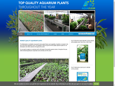 +31 0 10 106 3155 333 59 6a 84 88 a about accept agree agricultur and aquafleur aquarium area best burgerweg bv by catalogue cataloque contact continu continuity cookies cooperation customer db download dutch easy ensur experienc fax fil flip flower for full get goal grow hart highest hom international it job link located maasland maintain netherland on onlin or our pdf plant pleasant quality rang renowned responsibility retail sales@aquafleur.com sit social supply tel the this through throughout to top trough us use vegetables we websit westland wher whilst wholesaler with world worldwid year you
