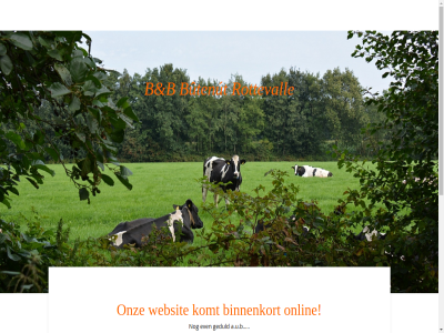 a.u.b b bed binnenkort breakfast bûtenut even geduld info@butenut.com komt onlin onz rottevall websit www.butenut.com