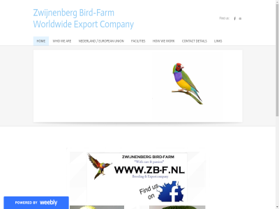 are bird bird-farm by contact detail european facilities farm find hom how link nederland powered union us we who work zwijnenberg