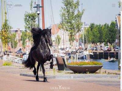 /actie/friesian-horse-kalender /alles-over-kanker/informatie-over-klinische-studies-trials/trials/borstkanker-descartes-studie /fundraisers/horsekalender /onderzoek/onderzoeksdatabase/betere-diagnostiek-van-grootcellig-neuro-endocrien-longcarcinoom /onderzoek/onderzoeksdatabase/nationale-infrastructuur-voor-integratie-van-onderzoek-en-zorg-voor 0 0368 1 10 100 1000 1043 12 12.500 13 14 15 15.000 16 18 19 2 20 2019 2020 2021 2022 2023 2024 2025 2026 21 22 22.525 24 25 250 2610 3 4 416 452 462 463 469 470 484 5 50 521 54 6 60.000 7 8 800 814 81513542 9 a3 aanbied aantal actie actiepagina acties.kwf.nl acties.kwf.nl/fundraisers/horsekalender afrika aftermovies all allen alwin ambassadeur amsterdam ancilla ander anky ansichtkaart ansichtkaartenset antoinet antoni april arno arresled ass avl bankreken bedrag begin begonn begrijp behandeltraject behoeft beijemastat bekend bekijk belangelos belangrijk belgie bellavie beoordel beperkt beschik best bestat bested bestel bestell bestral betaalverzoek beter beziel bezig bijdrag bijzonder bikkel blij blijft bob boehmio boornbergum borstkanker borstkankerbehandel borstkankeronderzoek bov bridget britt brok bruggink burger button cadeau calendar central charissa charlot chawwa cheque cher clinic cm commissaris contact contactgegeven creatiev cultur daarna daarop dagmar daisy daphn dean december degen dekhengst dekker descartes dewall dhr diagnos diagnoses diagnostiek dier dierbar dierenfotograf dijkhuiz dijkman dijkslag dijkstra direct doel dokkum donatie doner doorndraai douw dr drag duijnhov e eb editie edition eem eer eerst elfsted elfstedeneditie elfstedenstad elk elsk emerell emma en/of enkel enorm equigeniek equiphotography eren ervar esther euro eva exclusief exemplar faber facebok familie fan februari fhs flier flier-verheij fokveren format foto fotograf fotografer fotografie fotoshot foundation franeker frederik fries friesch friesian friesland frit frysk gan gartner gat gecombineerd geconfronteerd gedan gedoneerd gedrukt