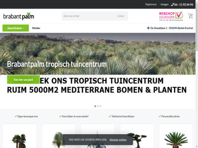 0 00 06 08 1 11 18 2026 4.7 44 5 5056pa 83 92 94 97020834 abonner account advies agav algemen all aloifolia assortiment augusta basis bekijk bent beoordel bereik berkel berkel-enschot bestell betaalmethod bezorgservic bloempot boeddha bol bom bonsai brabantpalm brabantpalm.nl bred btw btw-nummer chamaerop contacter cookies copyright dasylirion decoratie decoratiematerial dinsdag disclaimer diver dracaena drago drakenbloedbom duit eenvoud eig engel enschot europa exclusief extra flamingo fortunei gerenommeerd gerust geselecteerd groen heart hemeltjen humilis iced importer info@brabantpalmwebshop.com informatie inkoper inlogg juist kies kijk klantbeoordel klantenservic klassiek kom kvk kwekerij led les locatie longissimum manag marginata mediterran meest meld merk modern nederland nieuw nieuwsbrief nl867877443b01 nummer olijfbom onz openingstijd opmerk ovatifolia over palmbom pas person plant policy privacy product rechtstrek registrer ribbelmotief rostrata s sitemap sprek stam steenmotief sterr strelitzia t/m team telefonisch tongue topkwaliteit trachycarpus tropisch tuincentrum vanaf veelgesteld verbas verkocht verkop verlanglijst verzekerd vindt volg voorkeur voorwaard vormsnoei vrag wagnerianus we webshop weg whal winkel yucca zaterdag zoek zuid