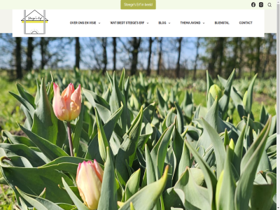 0638053059 3 8265 app avond beeld bell biedt bijenstal blog buitengebied contact contactgegeven en/of erf info@steegeserf.nl kamp kunt mailadres pd pluktuin recreatie recreatief recrer rustpunt s steg telefoonnummer thema vergader visie www.steegeserf.nl zakelijk zorg zorgboerderij zwartendijk