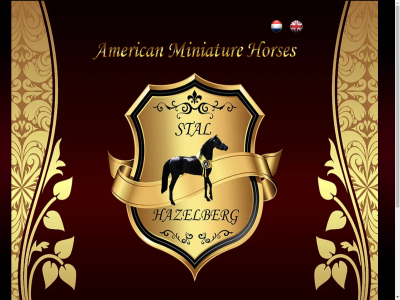 amha amhr and breeding hazelberg horses klein kop mini miniatur paard paardjes showing stal
