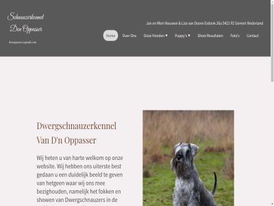 26a 5421 all auteursrecht beeld best bezighoud bezoek contact d den denoppasser@gmail.com dor duidelijk dwergschnauzer dwergschnauzerkennel esdonk fok foto gedan gemert gev hart het hetgen hom hond jan kijkplezier les liza mee mien n namelijk nederland nouw onz oppasser peper puppy pz recht resultat s schnauzer schnauzerkennel show sit tijden uiterst varieteit voorbehoud war websit welkom wens wij zilver zout zwart