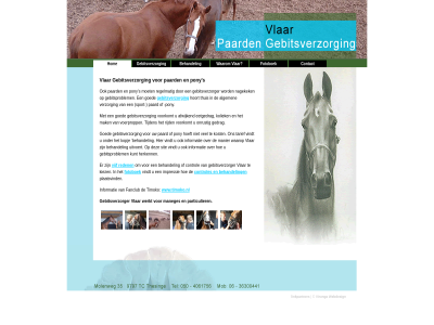 behandel contact fanclub fotoboek gebitsverzorg gebitsverzorger groning hom informatie linkpartner maneges paard particulier plaatsvind pony reden s timoko vijf virunga vlar waarom webdesign werkt www.timoko.nl