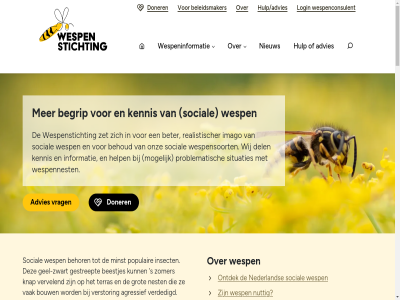 12 13 2025 2026 3 aangebrok aanpak aantal aanvrag aanvull advies adviser afker afzender agressief alert all allen alph analyses anbi anbi-pagina april artikel aspect augustus auteur aziatisch bangmakerij bedenk beestjes begrip behaald beher behor behoud bekijk belangrijkst beleid beleidsmaker beleidsplan bericht bestrijd bestuiver beter betoogt bevorder bied bij blogbericht bol bouw colofon contact cursuss daarom data december del denkt diervriend document doel doelshop doner dringend duik educatie educatiev erg europes financieel gan gat geel-zwart gel gestreept geval gezet gif grot helas help her herzien hiervan hom honingbij hoornar horror horror-persberichtenseizoen hulp hulp/advies ieder imago informatie inhoud inmiddel insect intensiver j jaarstuk jacques jammer januari jar journalist kennis kenniscentrum kennissessies knap kolonies kom kop kritisch levenswijz lez lezing liever login losgelat maart manier massal mee meest minst mogelijk mythes natur natuurliefhebber nederland nergen nest net nieuw nieuwsmedia nieuwswaard nodig nogal noopt nuanc nut nuttig nuttiger ondank onderan ondervond ongediertebestrijder ongever onjuist onnod ontdek ontvang ontzet onz opgelost oploss ord overheidsbeleid overlast overzicht pagina per pers/media persbericht persberichtenseizoen platform pleit populair positiev privacybeleid problem problematiek problematisch publiceert reactie realistischer redacties regelmat resultat rijtj rond s samenlev schadelijk sind situatie situaties slecht social soort stan steun terras total tuss uitroei vacatures vak veelgesteld vel verantwoord verbeter verdedigd verdelgd verget verlor verplicht verslag verslaggever verstor vervel verwerkt verwijder via vijfduiz vol vooral voorkom voorlicht vorig vrag vreemd vrijwel vrijwill waarbij war we websit welkom wer werk wesp wespenconsulent wespeninformatie wespenkrant wespennest wespensoort wespensticht wespentell wet wij will workshop zet ziet zoal zoek zomer zwart